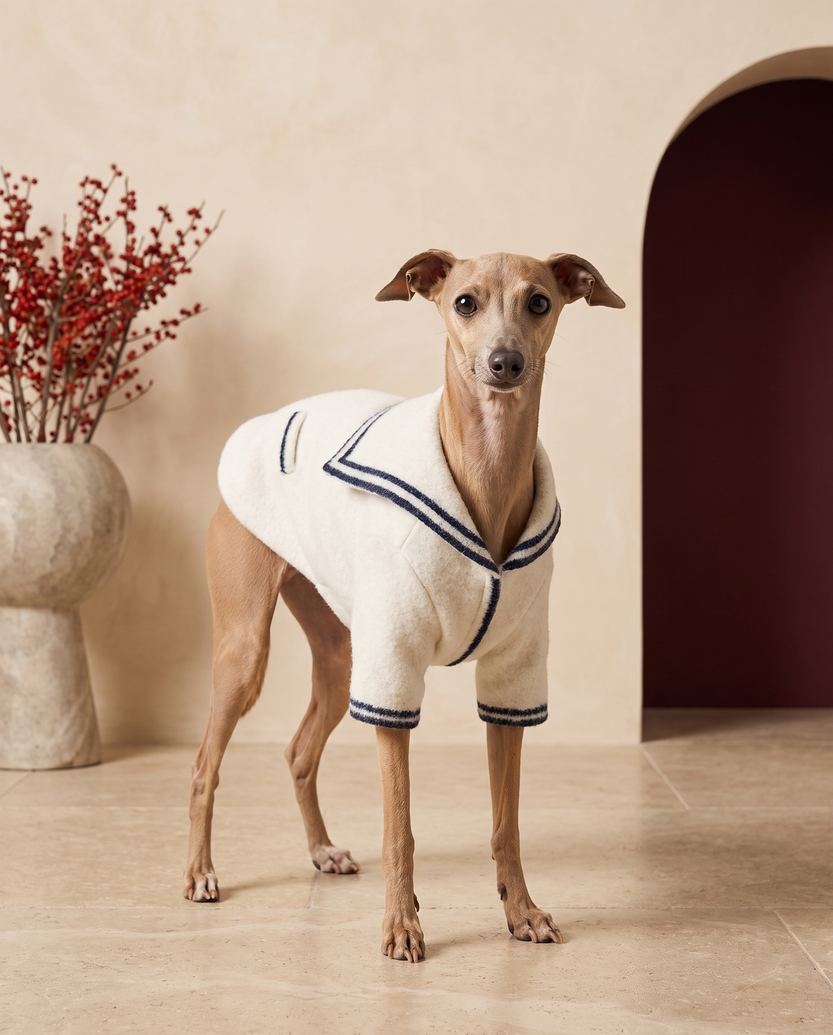 Italian Greyhound wearing the Iggy Grey ultra-soft winter cardigan