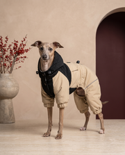 Italian Greyhound wearing the Iggy Grey flexible winter jumpsuit