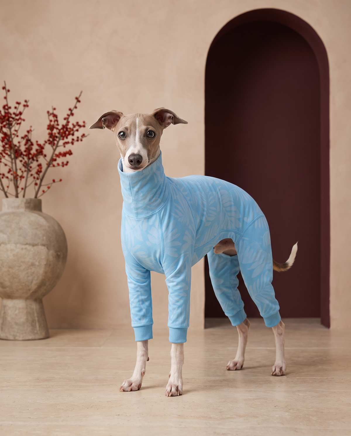 Italian Greyhound wearing the Iggy Grey water-repellent pajamas