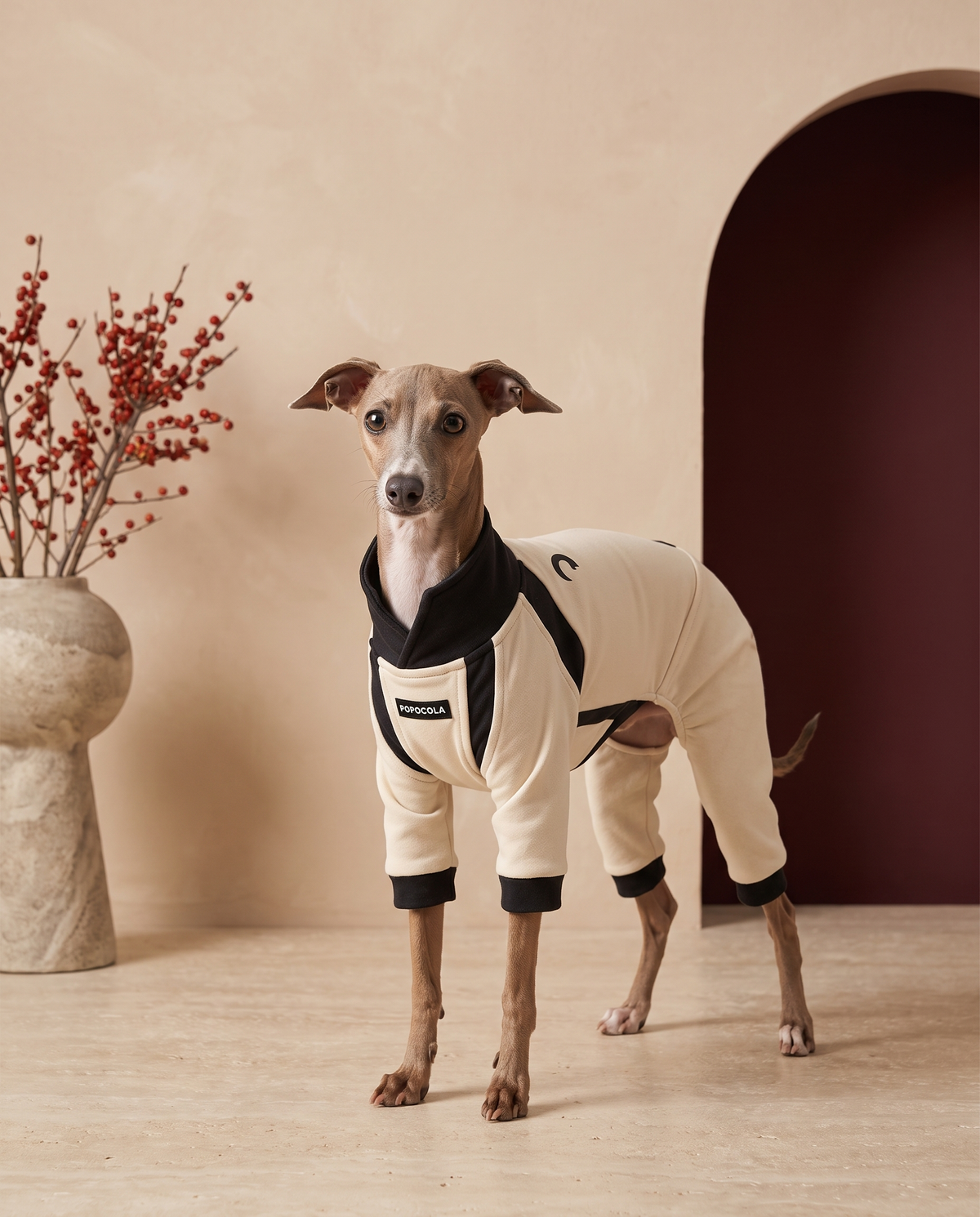Italian Greyhound wearing the Iggy Grey ultra-soft velvet pajamas