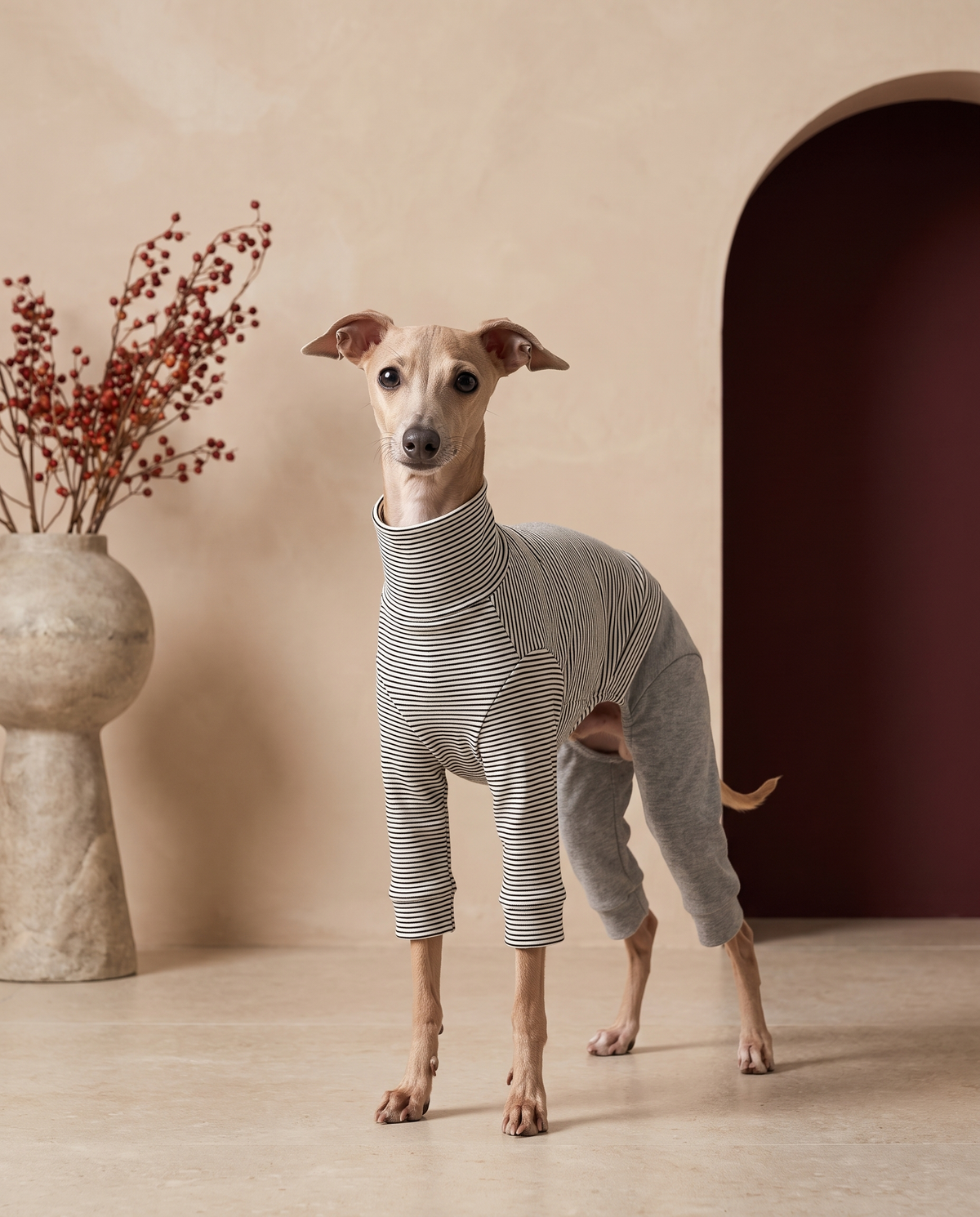 Italian Greyhound wearing the Iggy Grey soft fleece warm pajamas