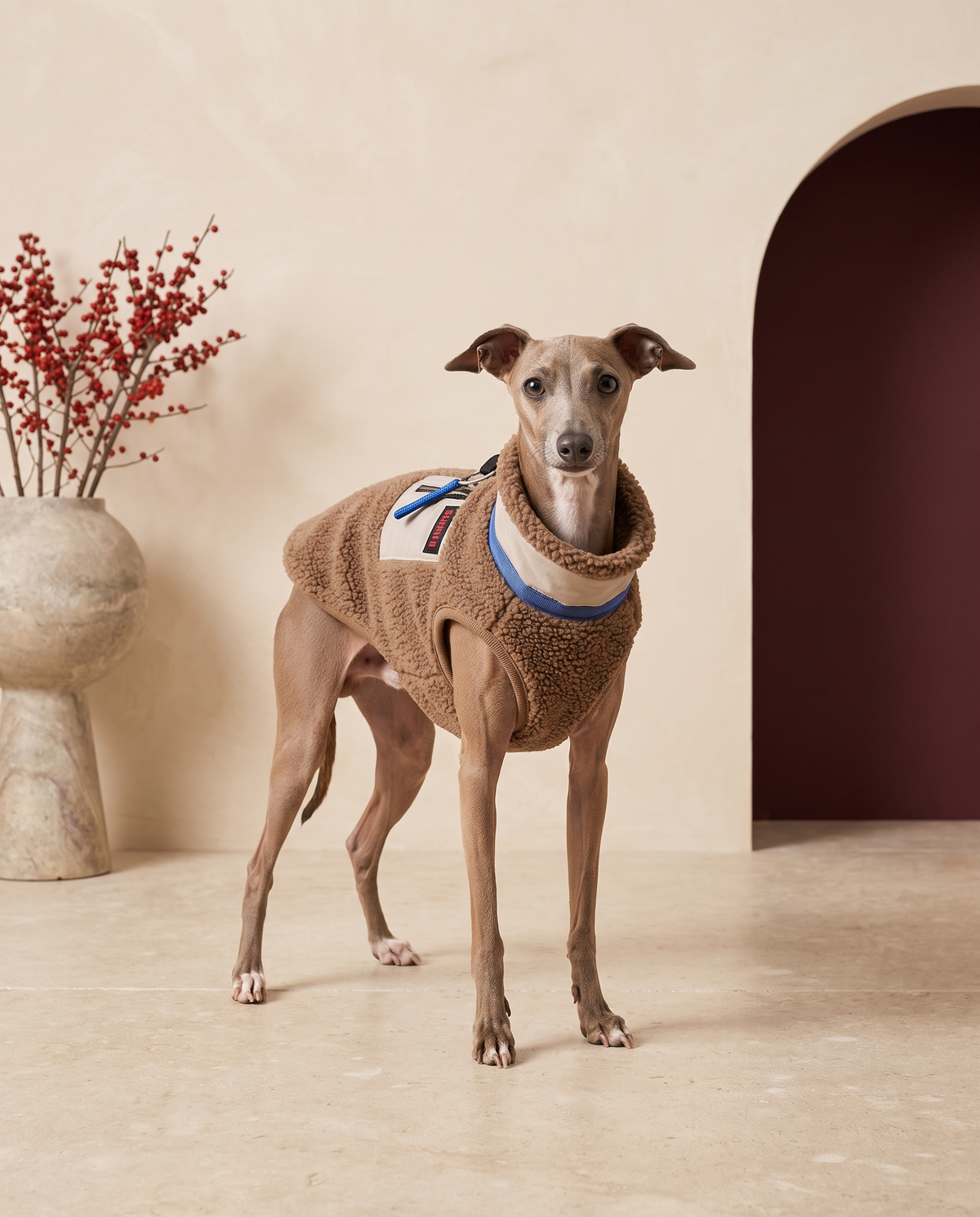 Italian Greyhound wearing the Iggy Grey premium fleece-lined winter vest