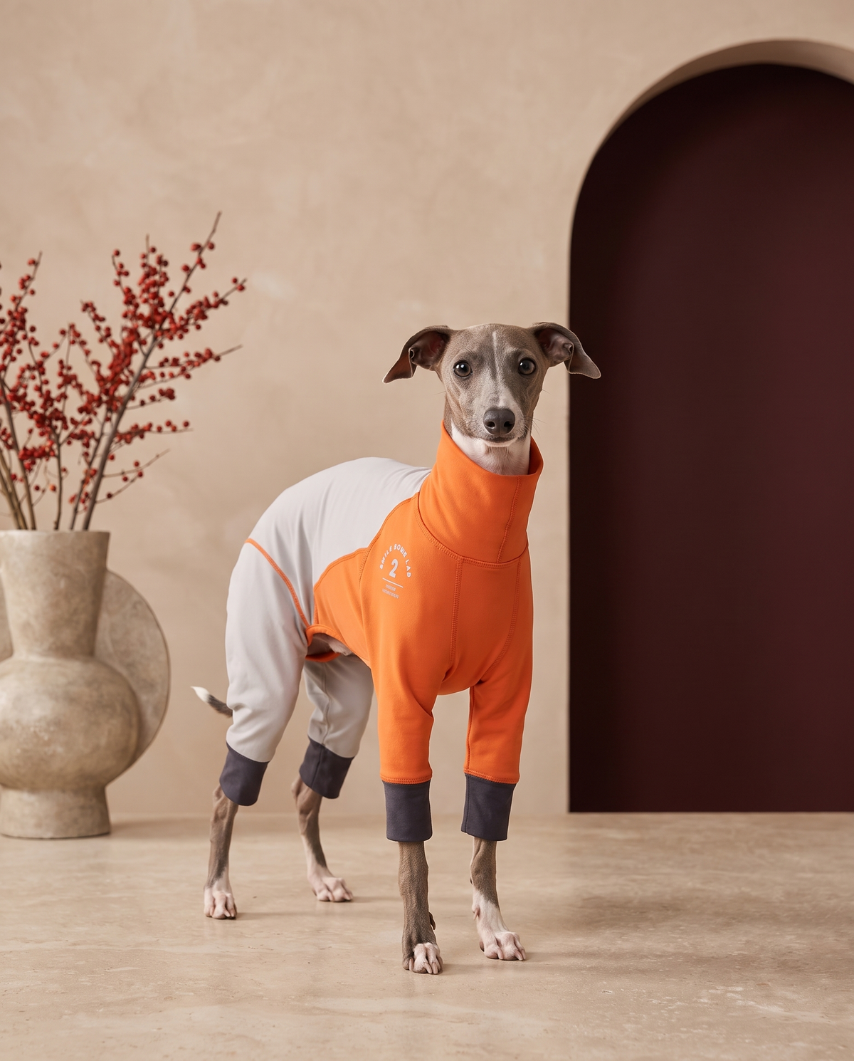 Italian Greyhound wearing the Iggy Grey plus velvet ski suit
