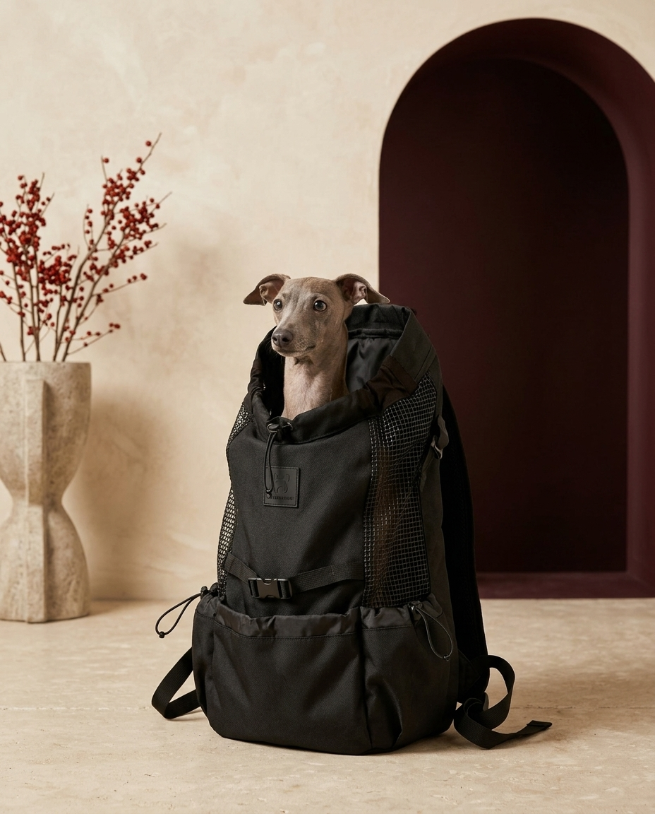 Italian Greyhound in the Iggy Grey safe comfortable backpack carrier