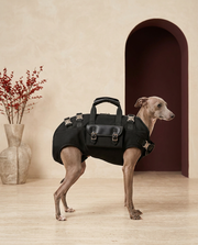 Italian Greyhound with the Iggy Grey side carry backpack
