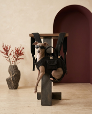Italian Greyhound in the Iggy Grey hands-free multifunctional carrier backpack