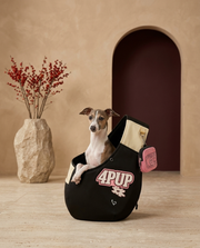 Italian Greyhound in the Iggy Grey shoulder sling backpack carrier