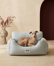 Italian Greyhound in the Iggy Grey comfy car ride bed