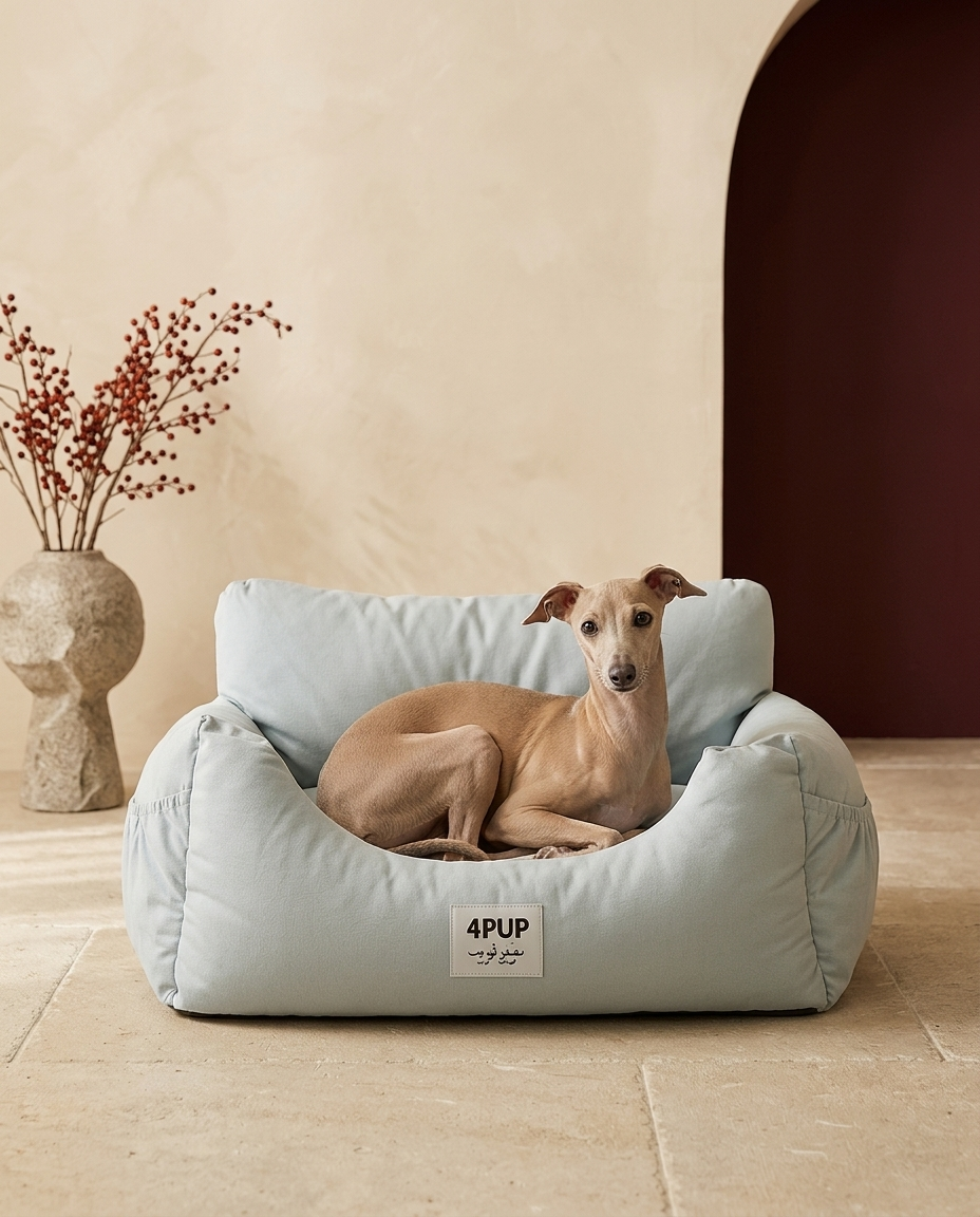 Italian Greyhound in the Iggy Grey comfy car ride bed