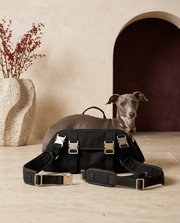 Italian Greyhound in the Iggy Grey cross-shoulder backpack carrier