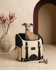 Italian Greyhound in the Iggy Grey detachable bike carrier bag