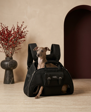 Italian Greyhound in the Iggy Grey premium backpack carrier
