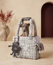 Italian Greyhound in the Iggy Grey luxury carrier handbag