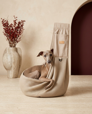 Italian Greyhound in the Iggy Grey crossbody carrier backpack