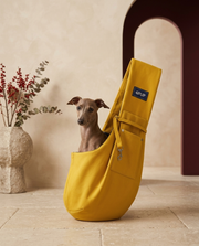 Italian Greyhound in the Iggy Grey crossbody sling carrier bag