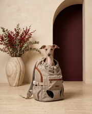 Italian Greyhound in the Iggy Grey outdoor travel backpack carrier