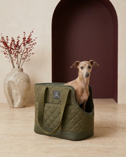 Italian Greyhound in the Iggy Grey luxury quilted carrier tote
