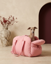 Italian Greyhound in the Iggy Grey soft travel carrier bag