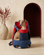 Italian Greyhound in the Iggy Grey adjustable quilted backpack carrier