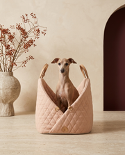Italian Greyhound in the Iggy Grey luxe quilted carrier