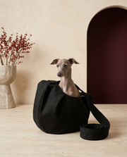 Italian Greyhound in the Iggy Grey soft sling carrier bag