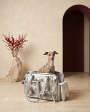 Italian Greyhound in the Iggy Grey portable shoulder carrier with cushion and storage pockets