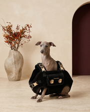Italian Greyhound in the Iggy Grey luxury horizontal backpack carrier