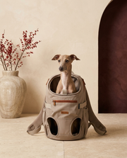 Italian Greyhound in the Iggy Grey handy outdoor backpack carrier