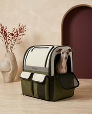 Italian Greyhound in the Iggy Grey foldable waterproof backpack carrier