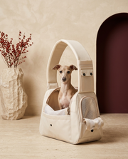 Italian Greyhound in the Iggy Grey portable outing shoulder bag