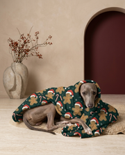 Italian Greyhound wrapped in the Iggy Grey cozy blanket