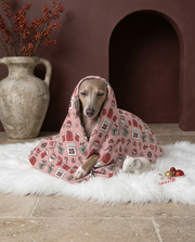 Italian Greyhound wrapped in the Iggy Grey cozy blanket