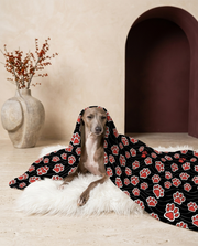 Italian Greyhound wrapped in the Iggy Grey cozy blanket