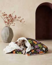 Italian Greyhound wrapped in the Iggy Grey cozy blanket