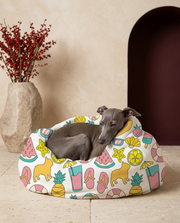 Italian Greyhound wrapped in the Iggy Grey cozy blanket