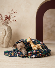 Italian Greyhound wrapped in the Iggy Grey cozy blanket