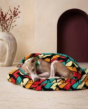 Italian Greyhound wrapped in the Iggy Grey cozy blanket