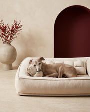 Italian Greyhound in the Iggy Grey premium orthopedic pillow bed