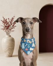 Italian Greyhound wearing the Iggy Grey stylish bandana