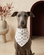 Italian Greyhound wearing the Iggy Grey stylish bandana