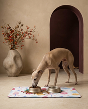 Italian Greyhound eating beside the Iggy Grey food mat