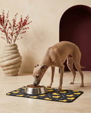 Italian Greyhound eating beside the Iggy Grey food mat