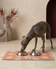 Italian Greyhound eating beside the Iggy Grey food mat