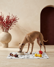 Italian Greyhound eating beside the Iggy Grey food mat