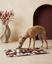 Italian Greyhound eating beside the Iggy Grey food mat