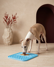 Italian Greyhound licking the Iggy Grey silicone licking pad