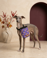 Italian Greyhound wearing the Iggy Grey treat pouch training bag