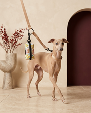 Italian Greyhound with the Iggy Grey poop bag holder leash attachment