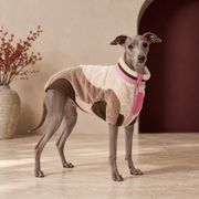 Italian Greyhound wearing the two tone plush dog vest in Pink & Brown