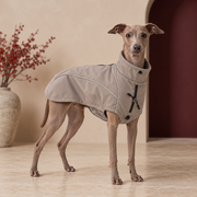Italian Greyhound wearing the softshell high collar dog jacket in Stone Brown Gray